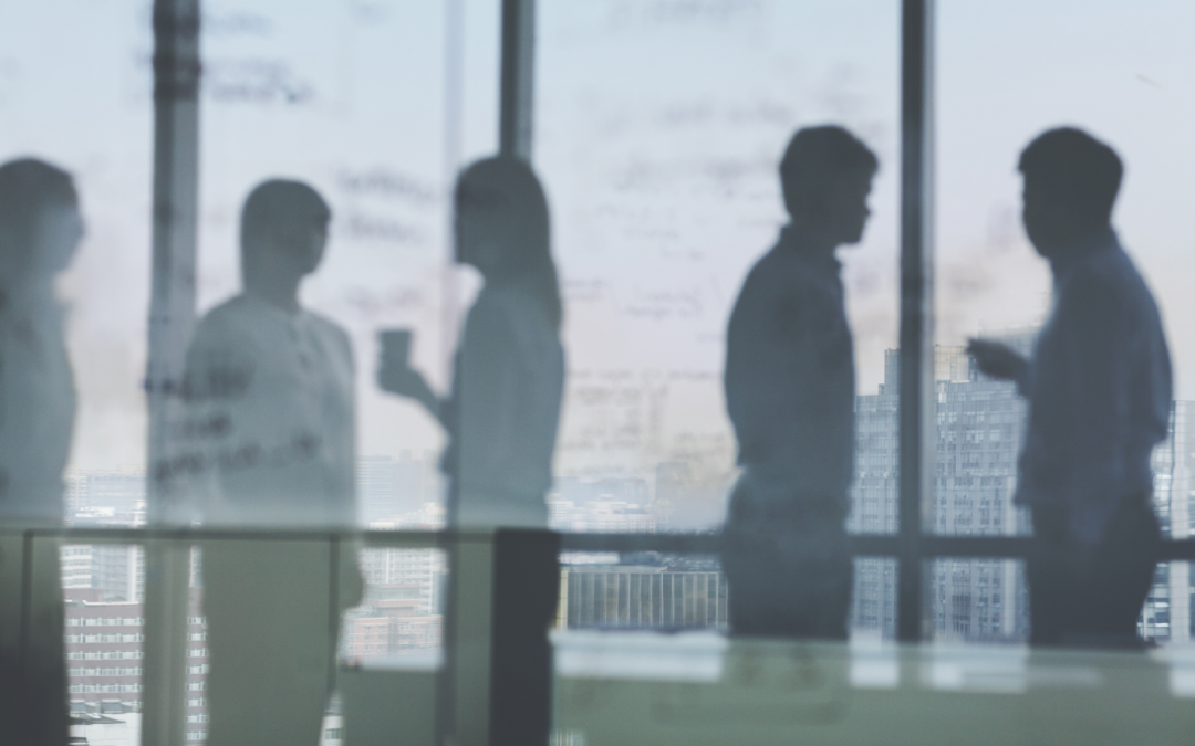 silhouettes of business people talking in office setting